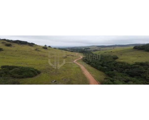 Foto de Gleba de Terras - Santa Rita de Caldas (MG)