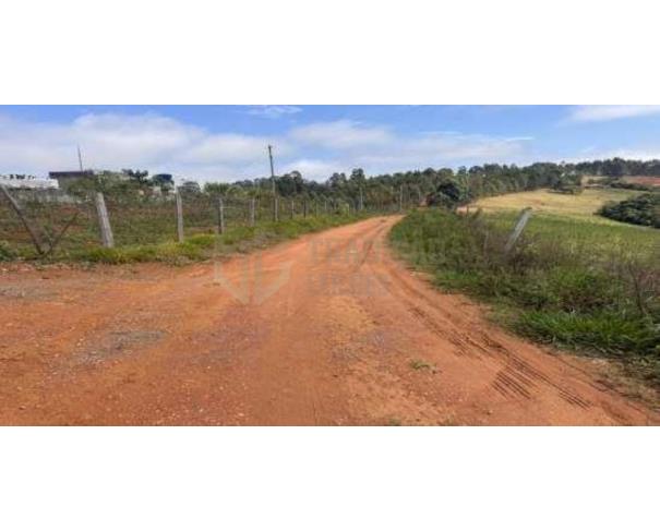 Gleba no Zona Rural (foto 7 de 7)
