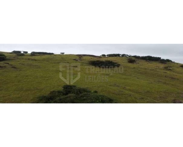 Foto de Gleba de Terras - Santa Rita de Caldas (MG)